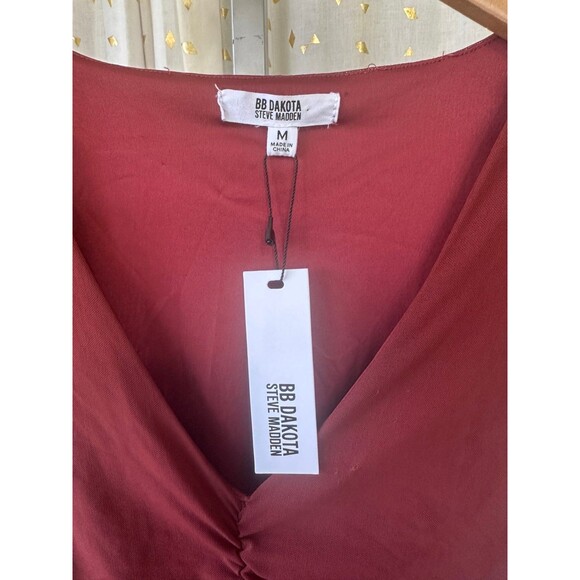 NWT BB Dakota X Steve Madden Spiced Apple Mesh Ruch Hour Bodycon Mini Dress M - Picture 4 of 7